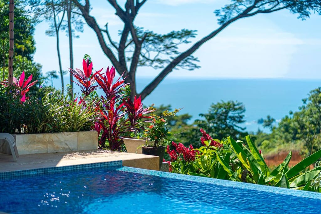 Tropical flowers at the edge of the infinity pool with the Pacific ocean in the distance