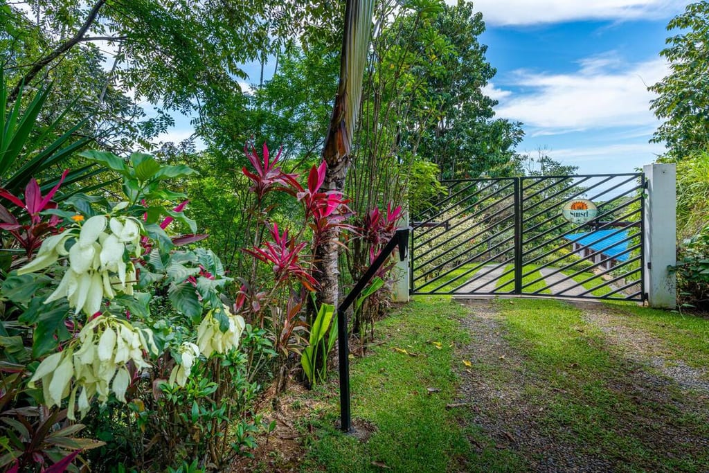 Tropical planting and garden path on the 1.75-acre rainforest property