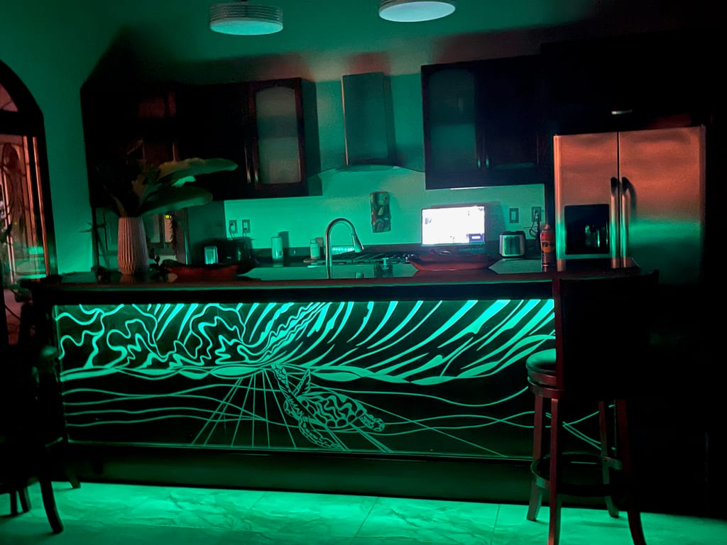 A turtle etched into the glass bar top at Casa Rosa Blanca, lit from beneath by colour-changing LEDs — a nod to Casa Tortuga, the house's original name